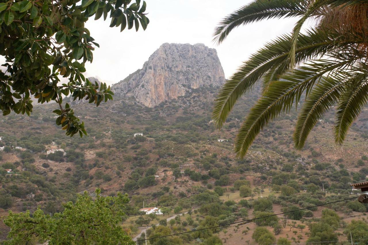Lagar Del Chorro Junto Caminito Del Rey Piscina Y Baloncesto Apartman Kültér fotó